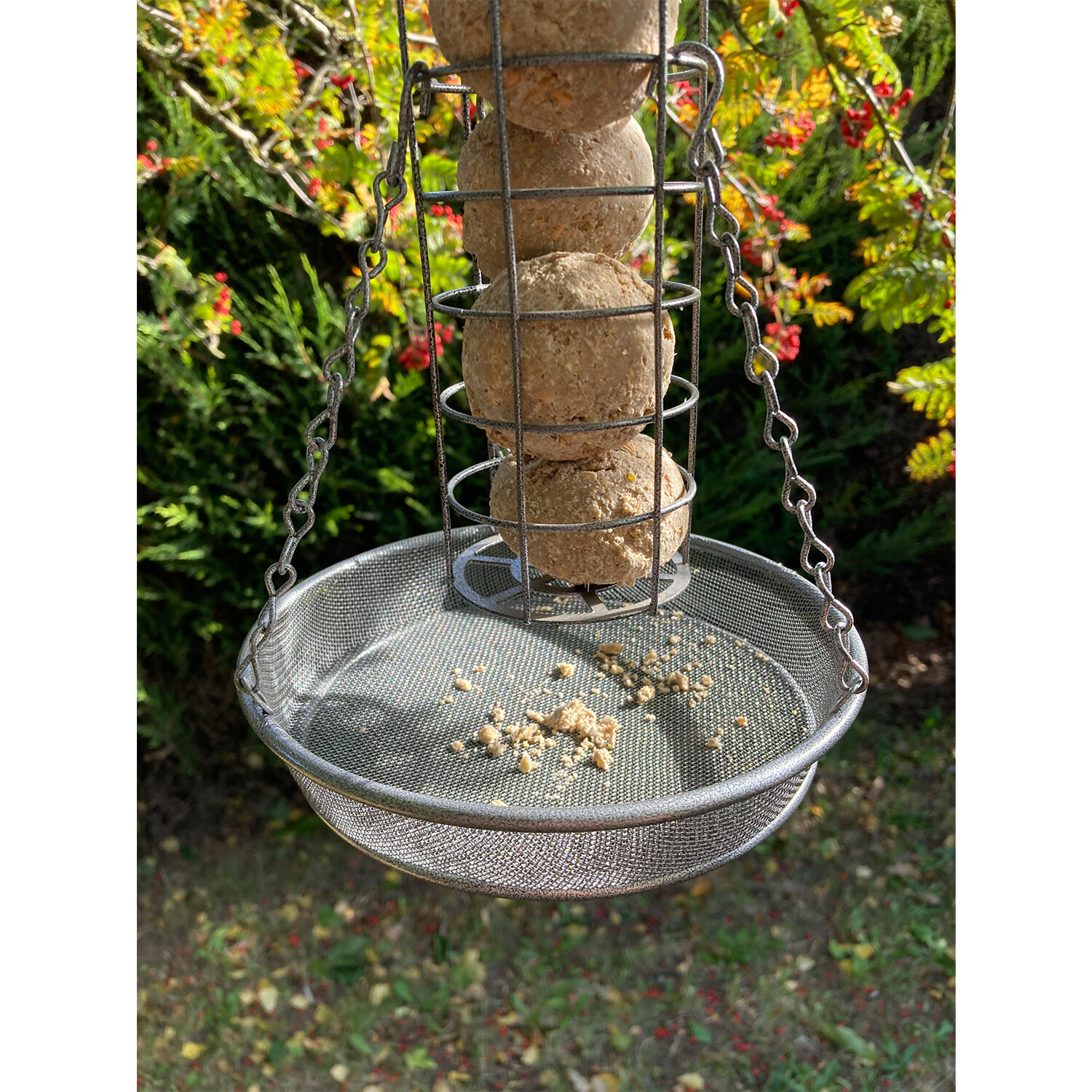 Hanging Feeder Tray Image 6