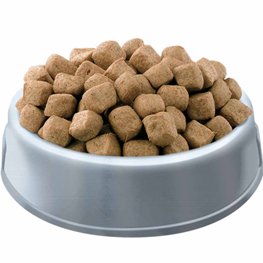 HiLife Pets Pantry Chicken Complete Dog Food 1kg Image 2