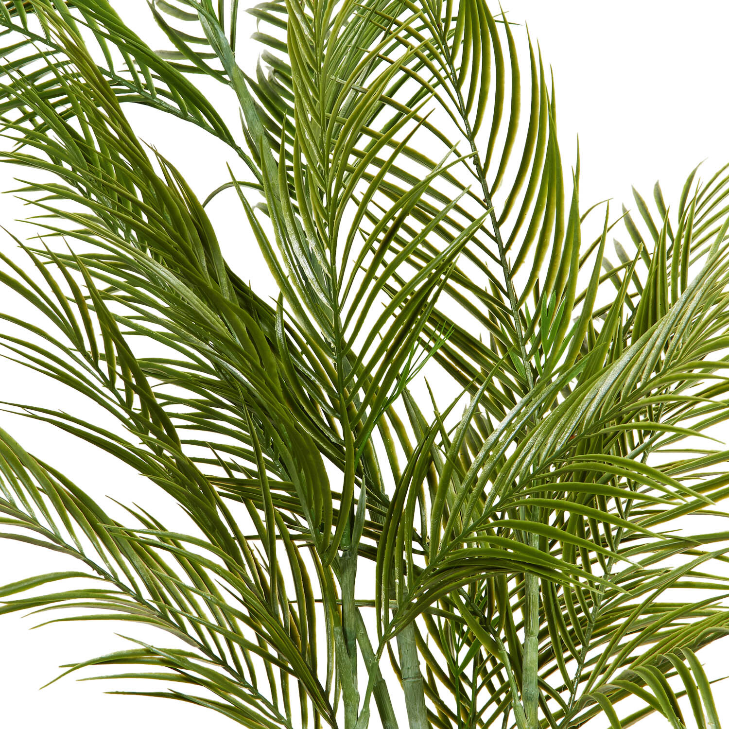 Palm in Cement Pot 100cm - Green Image 4