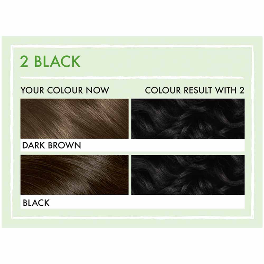 Natural Instincts Semi Permanent Hair Colour 2 Black Image 4