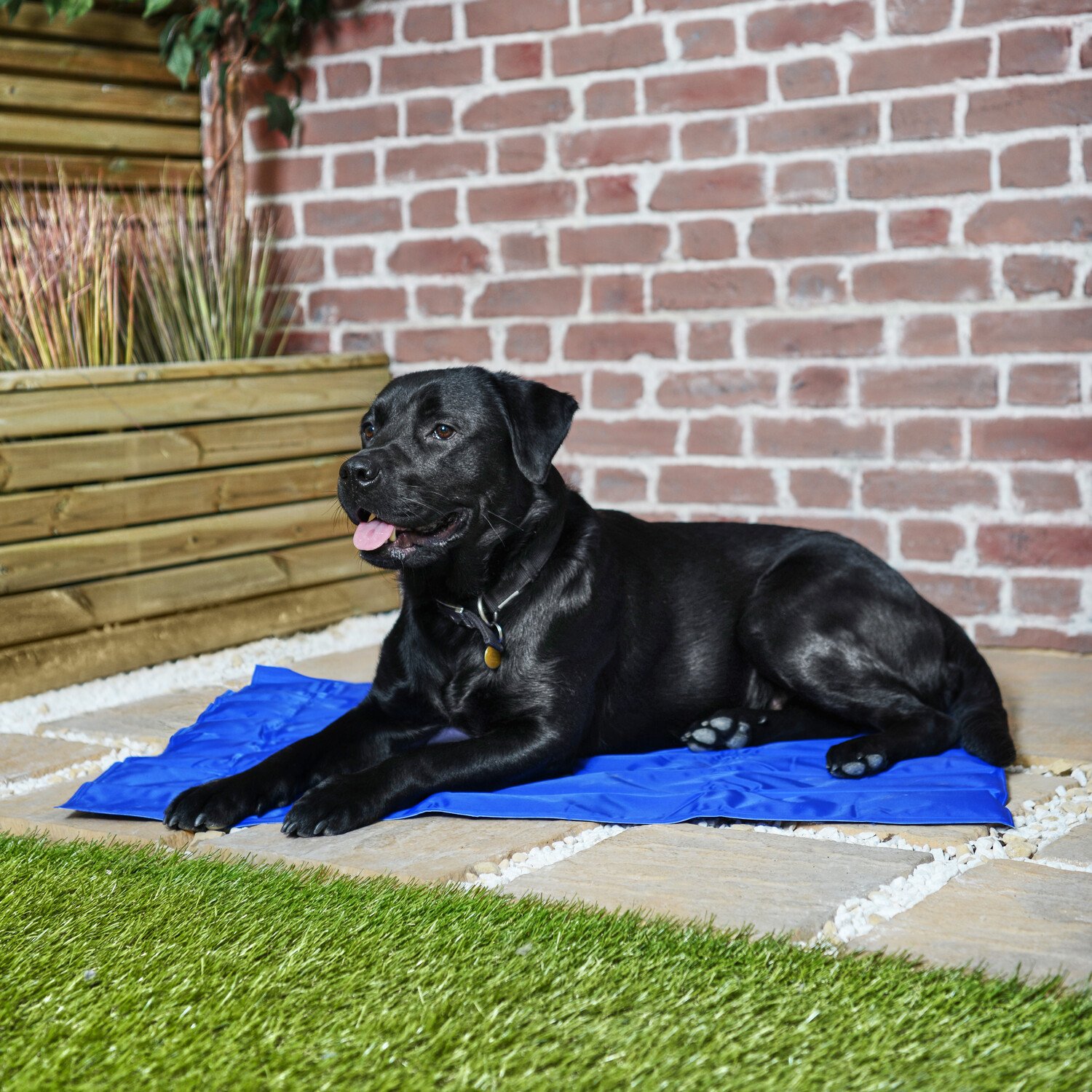 Clever Paws Pet Cooling Mat - Medium Image 1