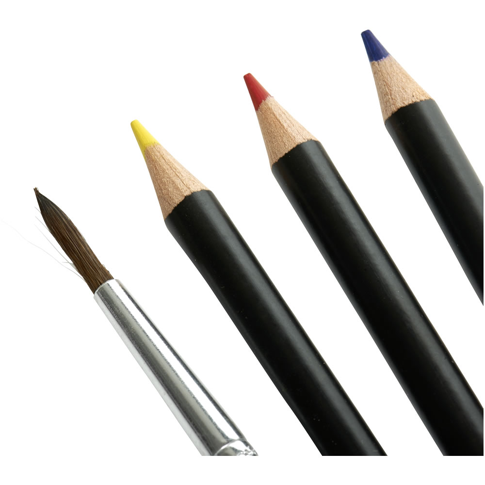 Bic Conte Premium Watercolour Pencils 12pk Image 2