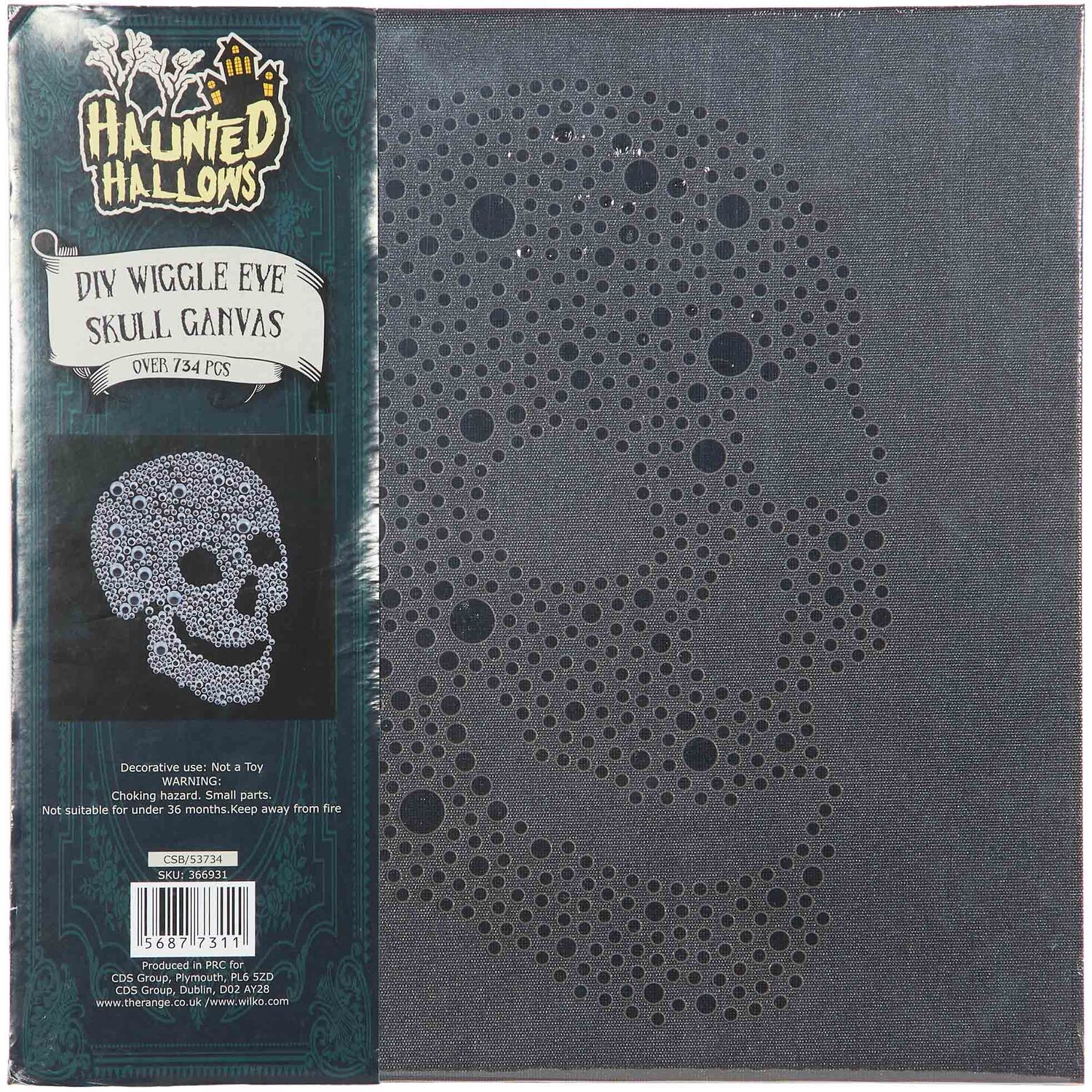 DIY Wiggle Eye Skull Canvas Image 1