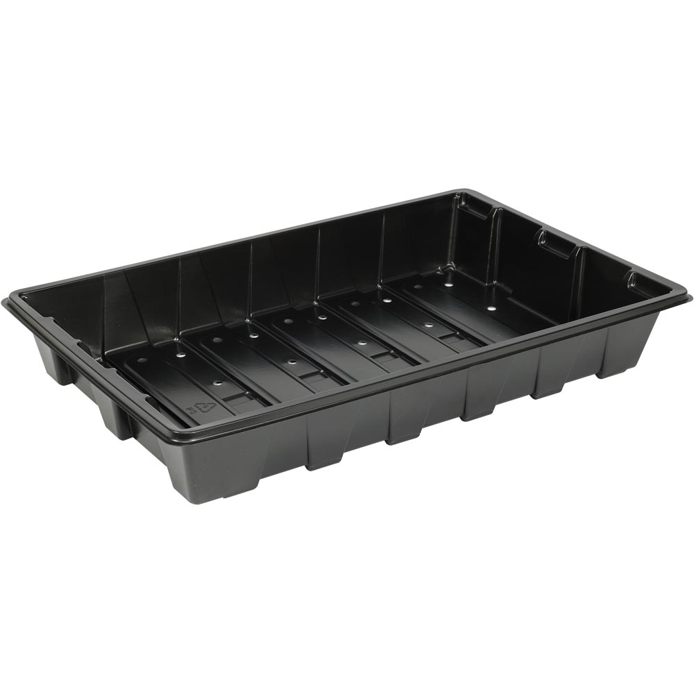 Wilko Black Seed Economy Tray 5 Pack Wilko