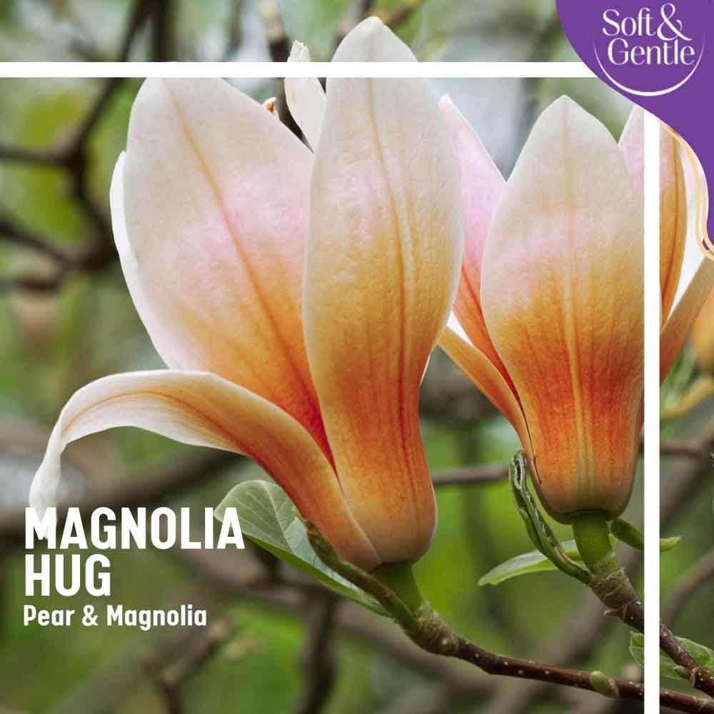 Soft and Gentle Magnolia Hug Anti Perspirant Spray 250ml Image 4