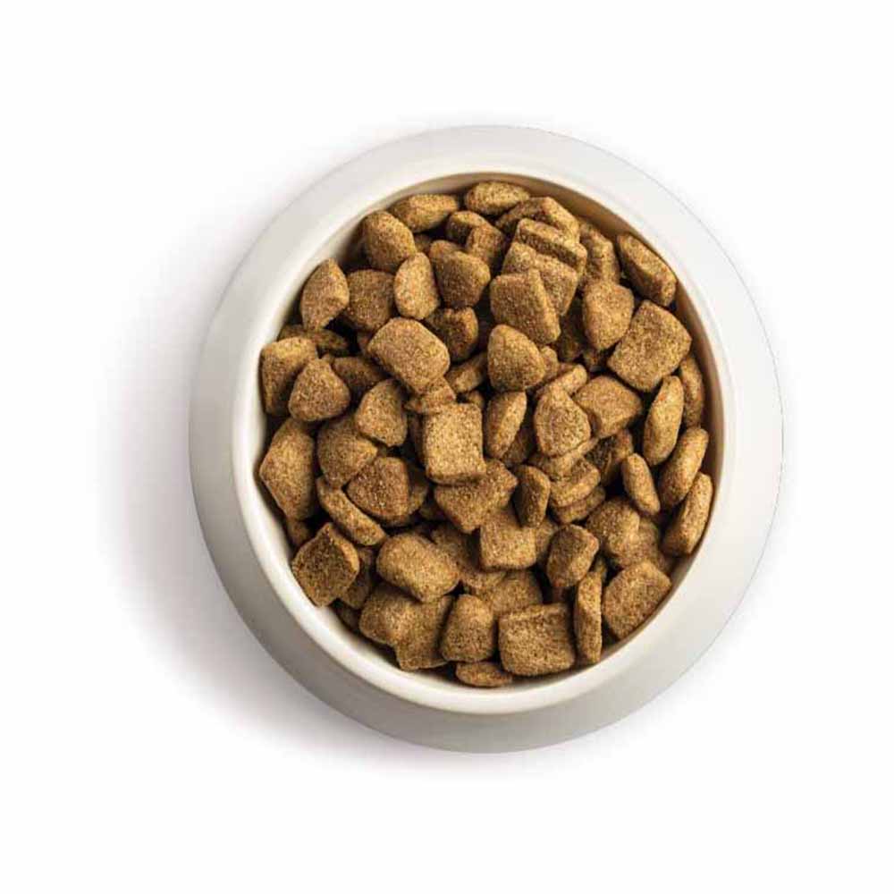 Chappie Complete Beef and Whole Grain Cereal Dog Food 15kg Image 4
