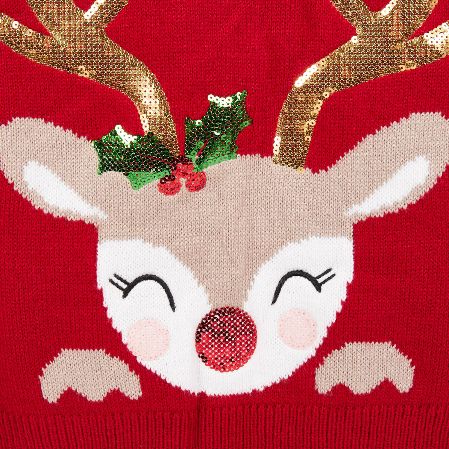 Kids Festive Reindeer Jumper - Red / 8 to 10 years Image 3