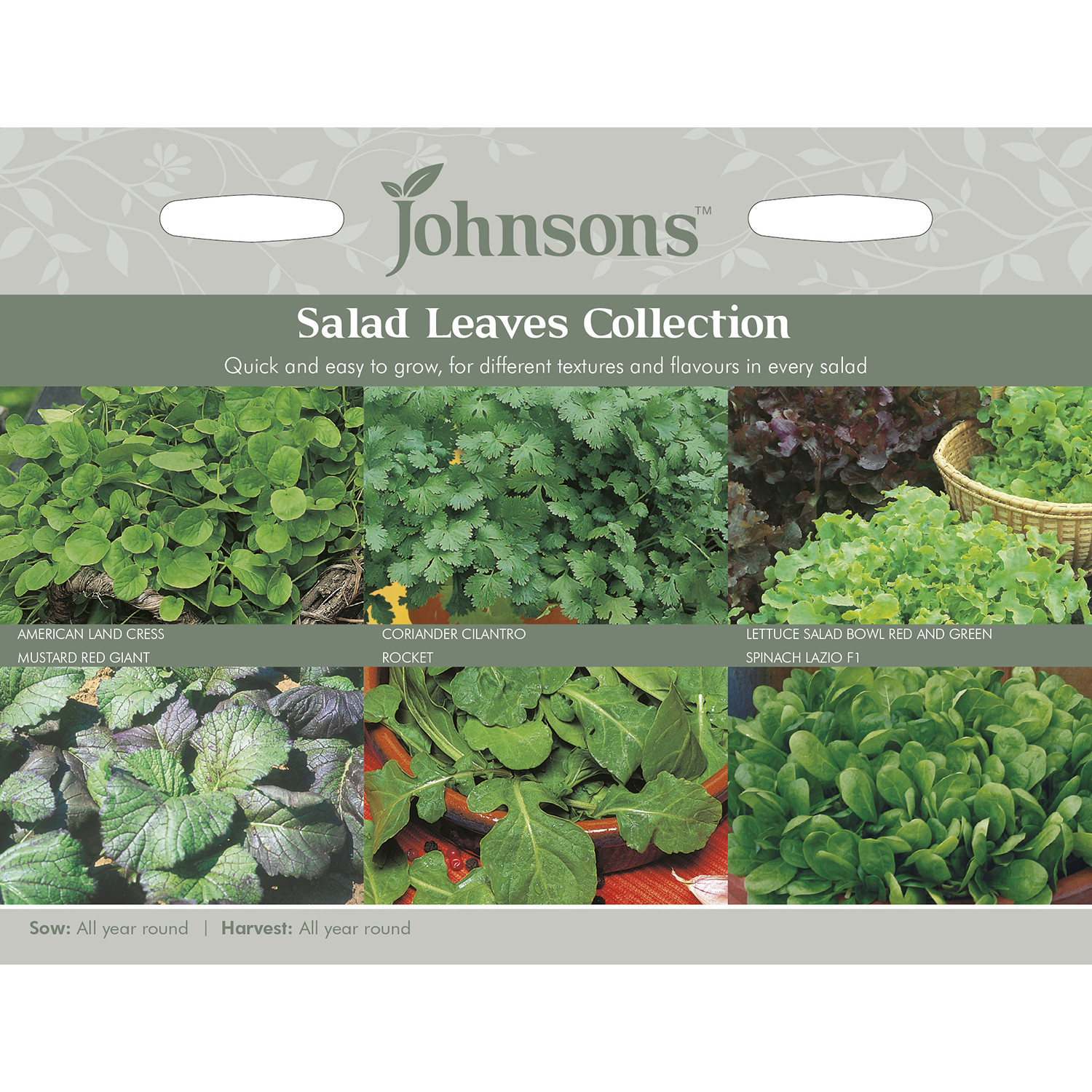 Johnsons Salad Leaves Collection Seeds Image 2