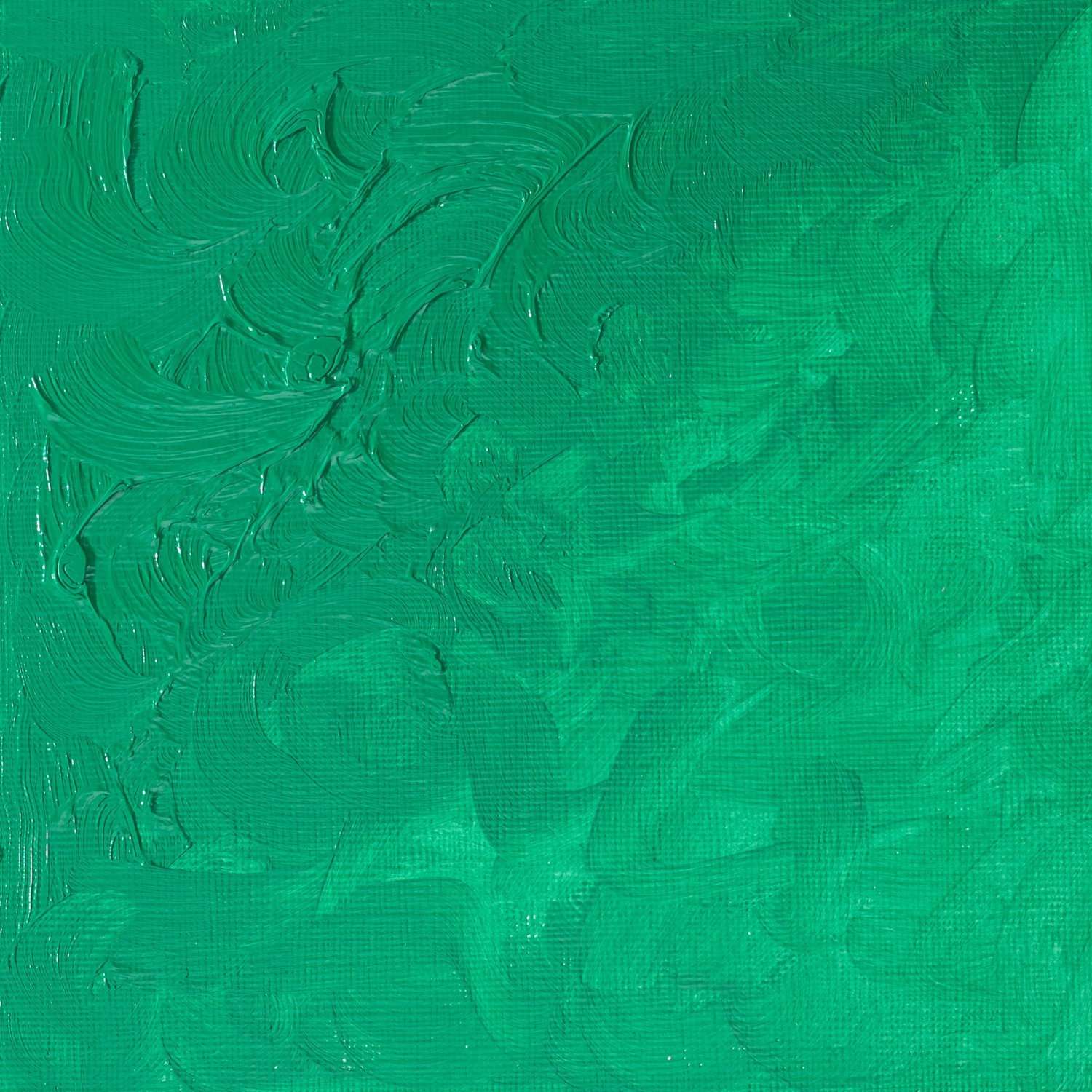 Winsor and Newton 200ml Winton Oil Colours - Turquoise Image 4
