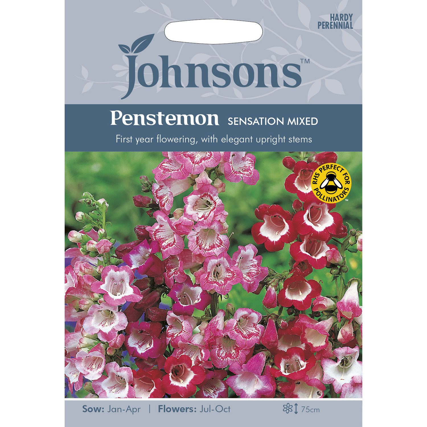 Johnsons Penstemon Sensation Mixed Flower Seeds Image 2