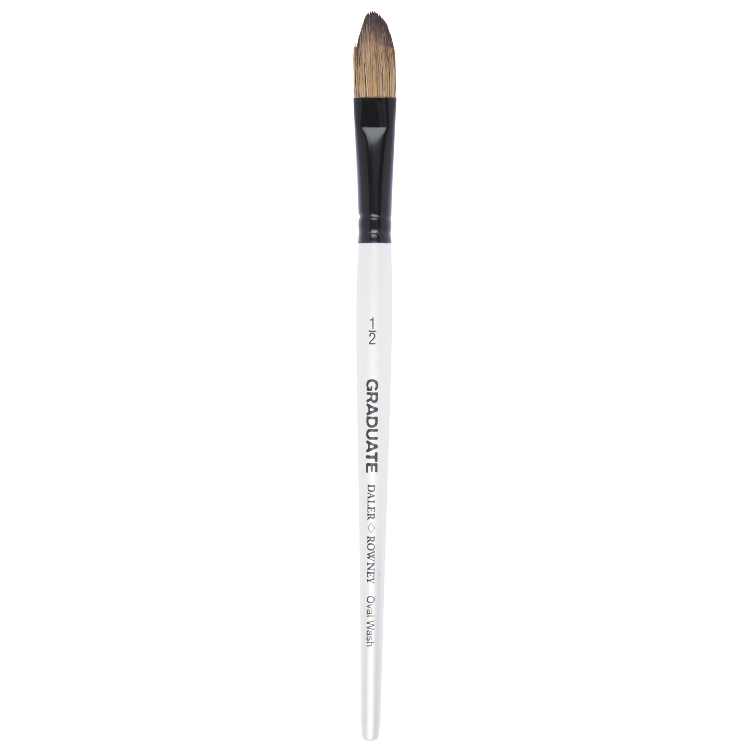 Daler Rowney Graduate Pony and Synthetic Oval Wash Short Handle Brush 0.5 inch Image 2