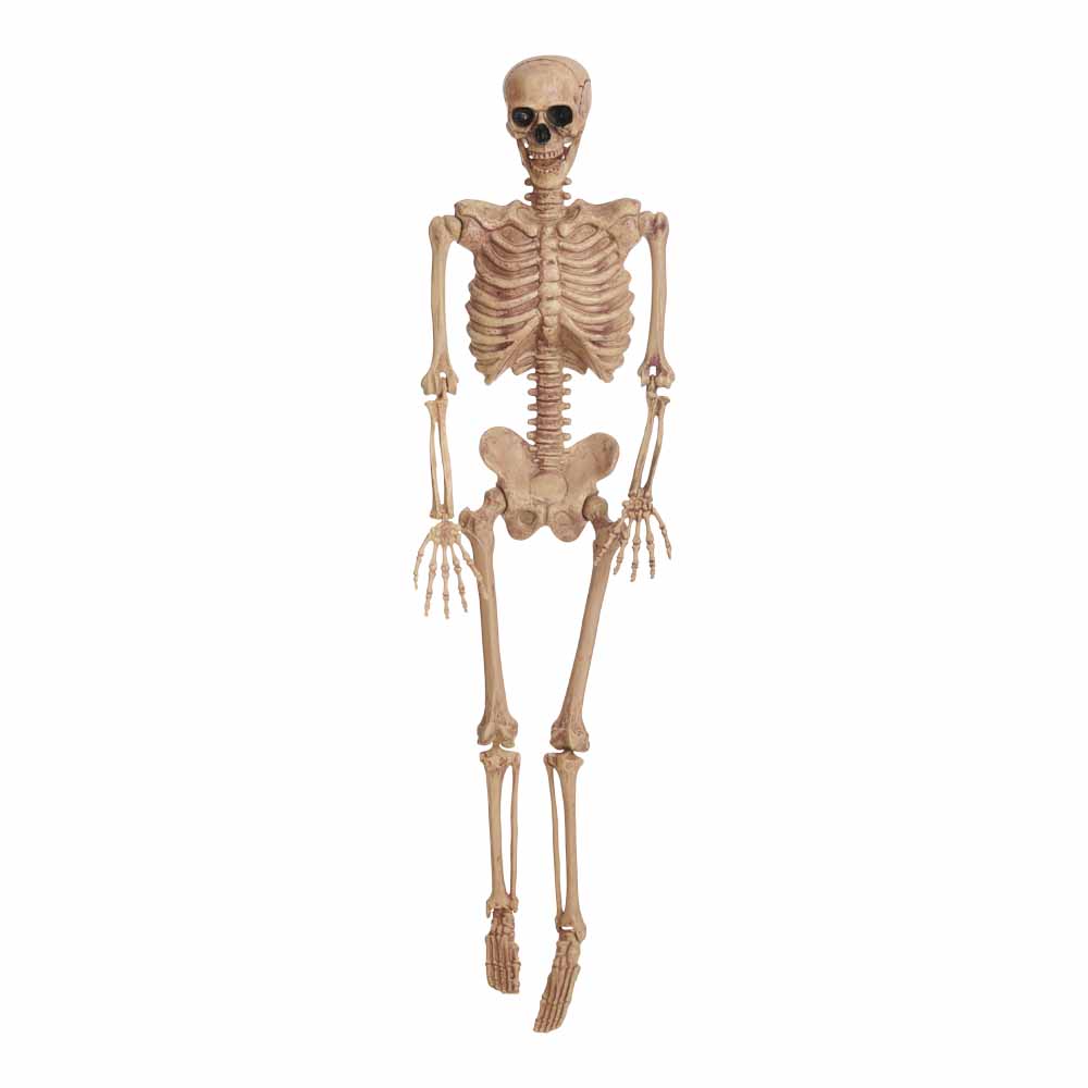 Wilko Hanging Skeleton 5ft Image 1