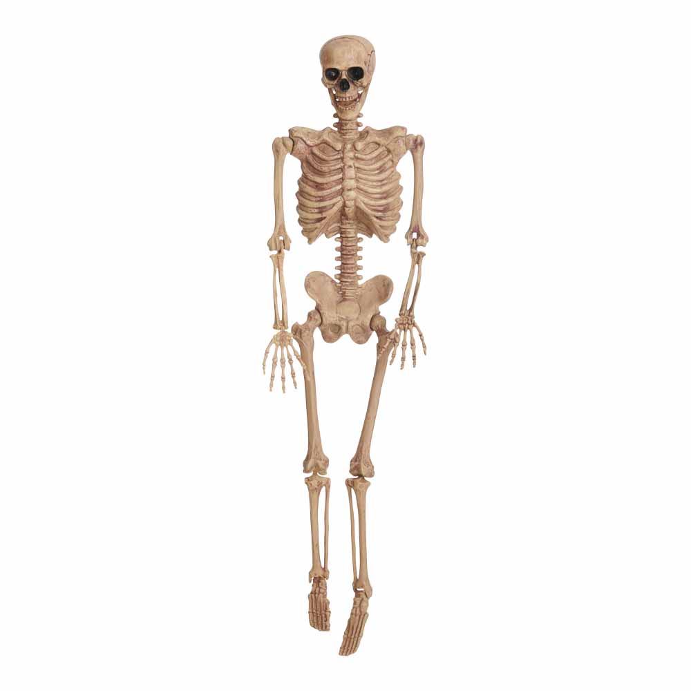 Wilko Halloween Hanging Skeleton 5ft Image 1