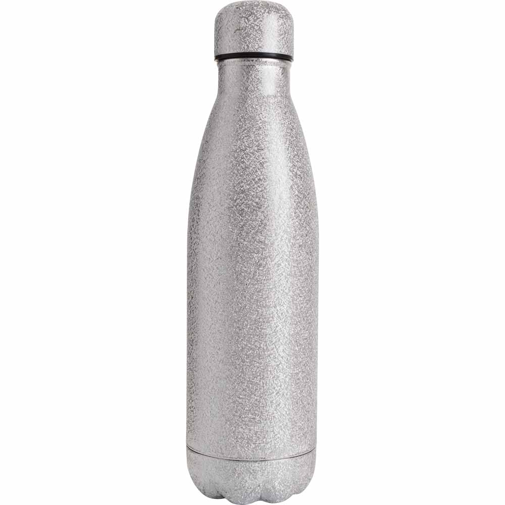 Wilko Silver Metallic Double Wall Water Bottle 500ml Image