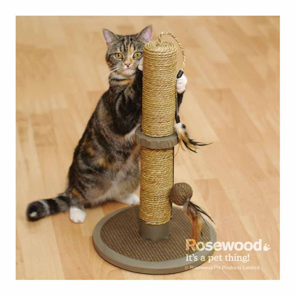 Rosewood Vigo Cat Scratching Post Image 2