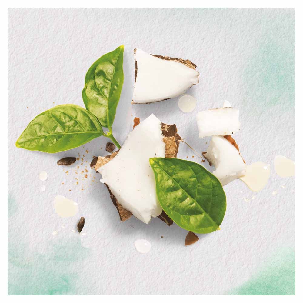 Herbal Essences Biorenew Coconut Milk Hydrating Shampoo Case of 6 x 250ml Image 5