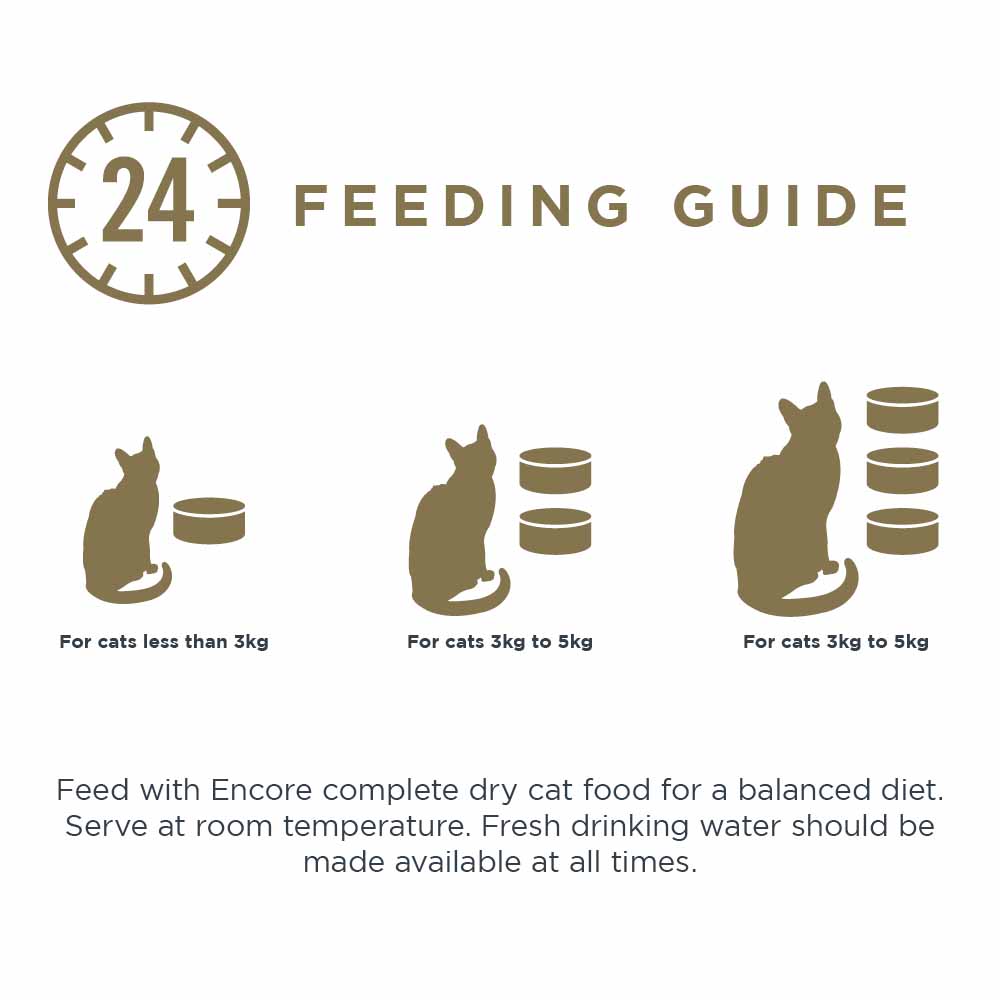 Encore Tuna Fillet Cat Food 70g Image 4