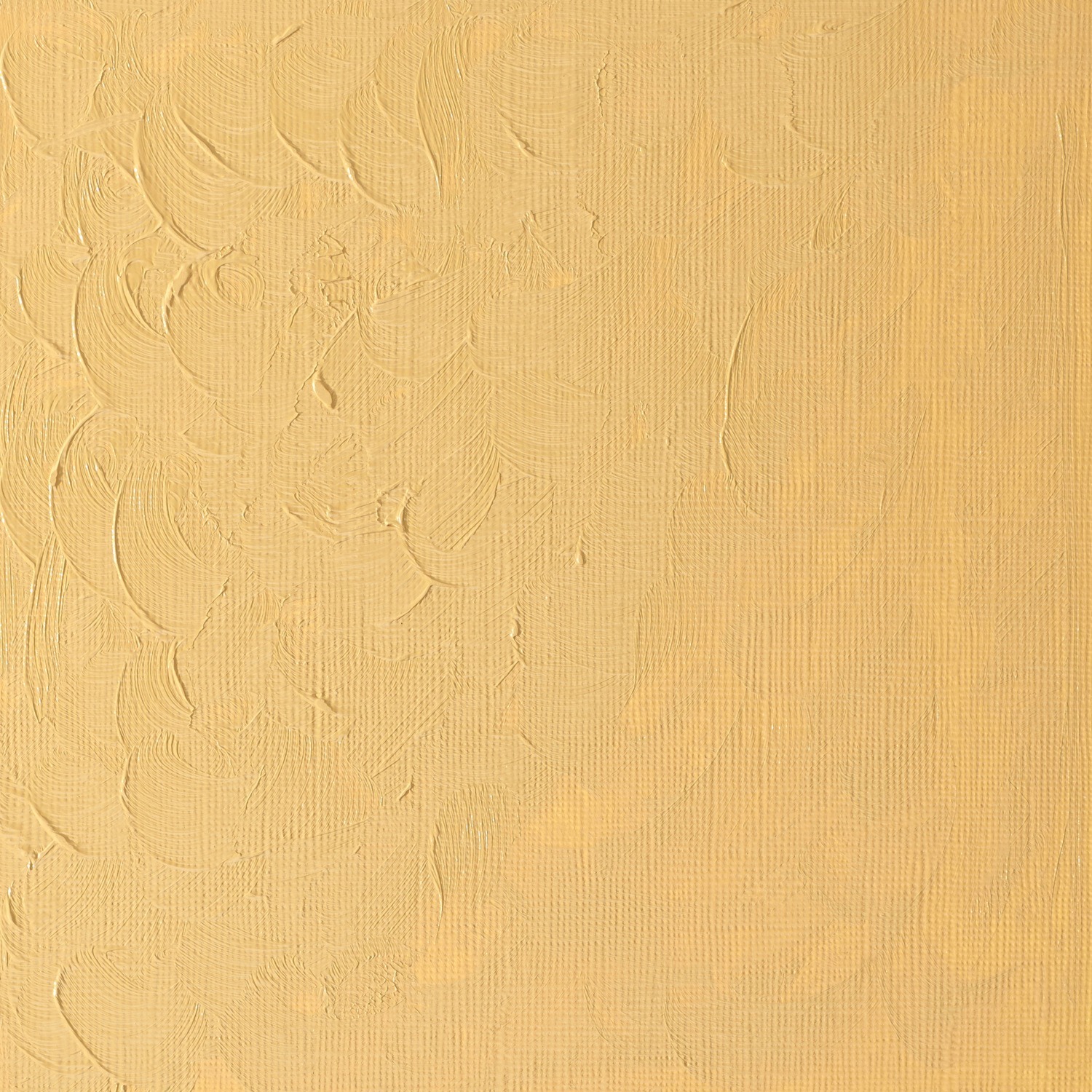 Winsor and Newton 37ml Winton Oil Colours - Naples yellow Image 2