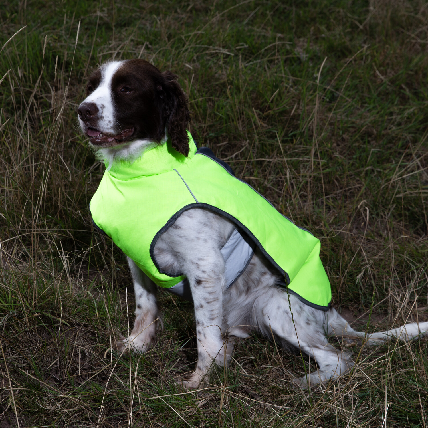High Visibility Padded Dog Jacket Neon Green L Image 7