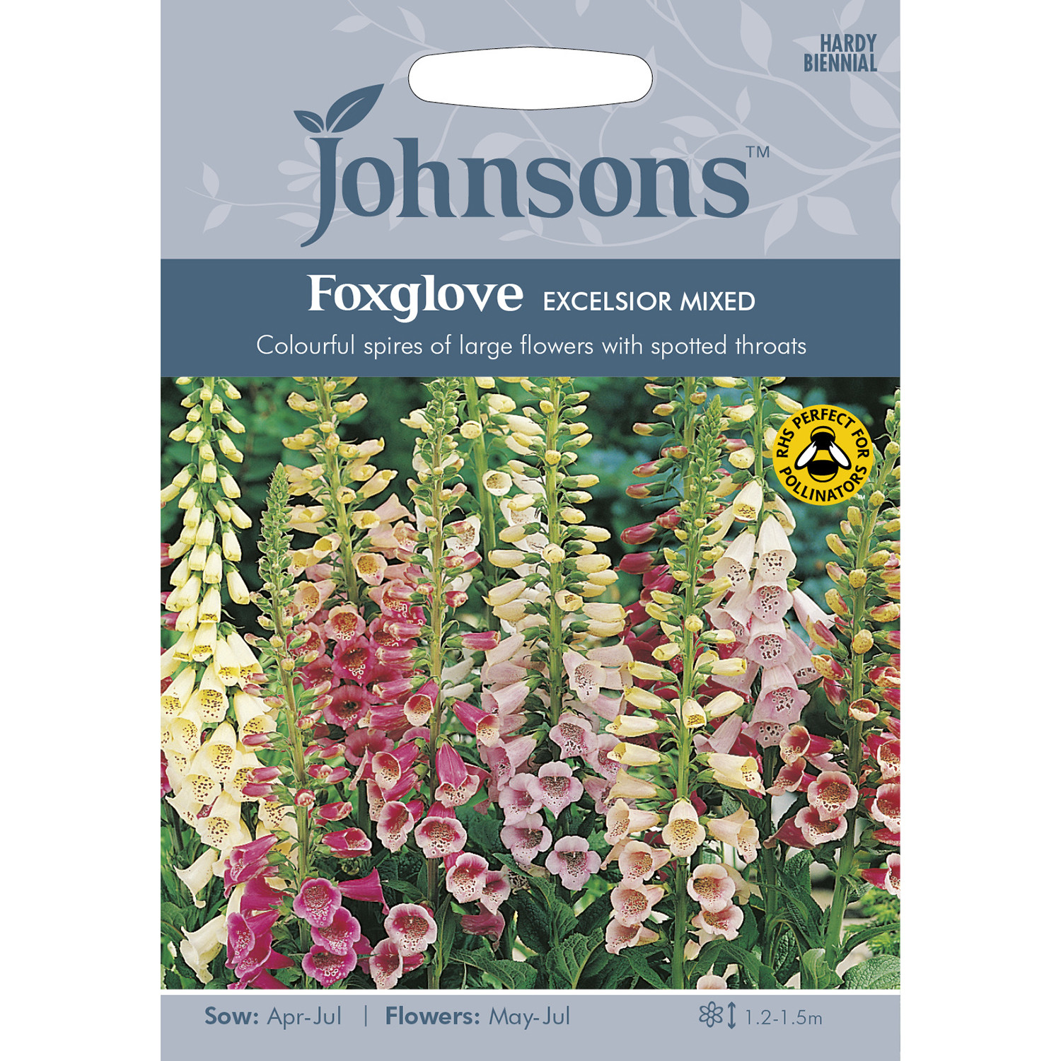 Johnsons Foxglove Excelsior Mixed Flower Seeds Image 2