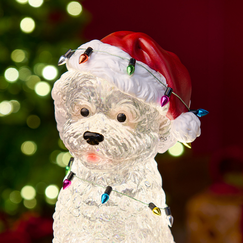 Cockapoo Light Up Glitter Spinner Image 5
