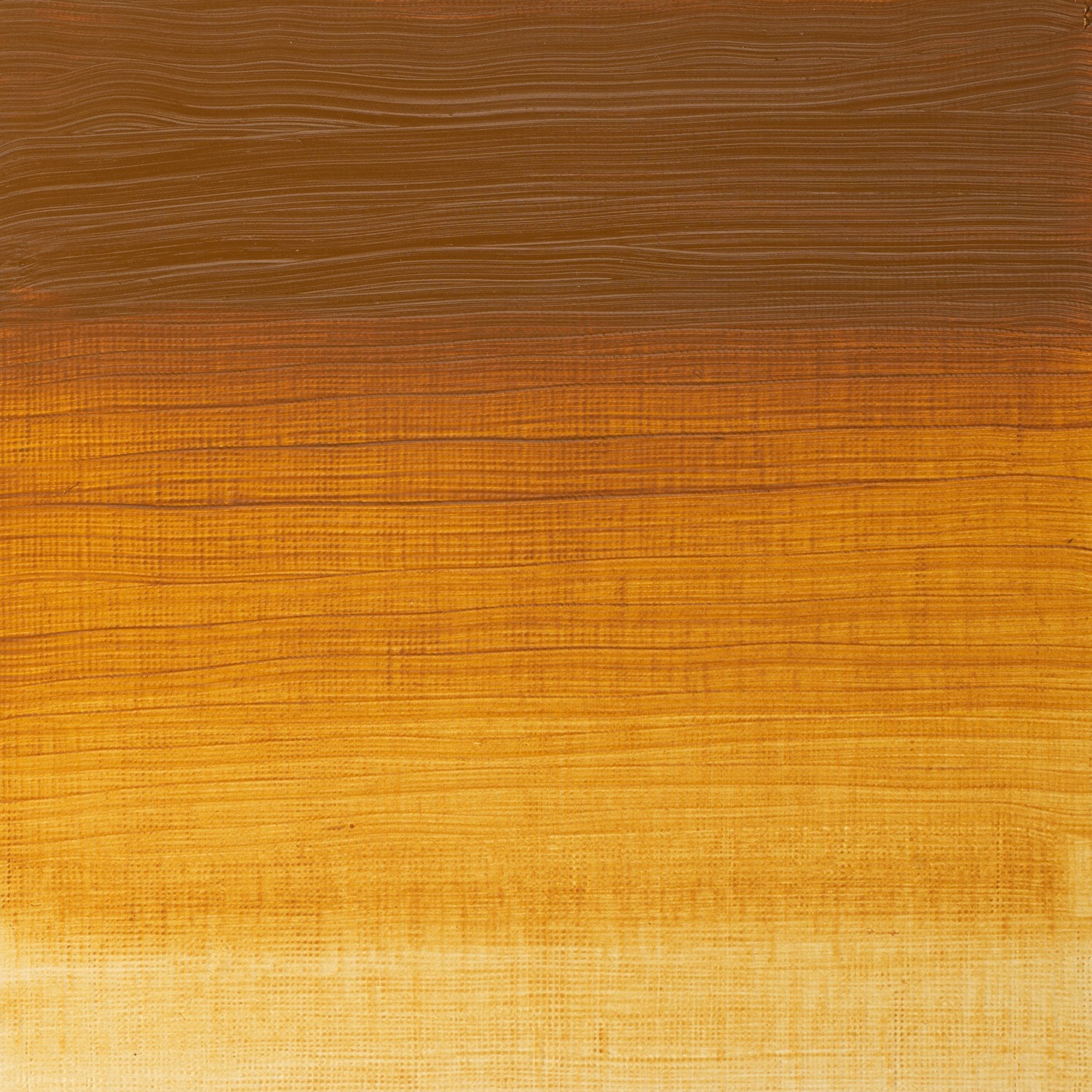 Winsor and Newton 37ml Artists' Oil Colours - Raw Sienna Image 2