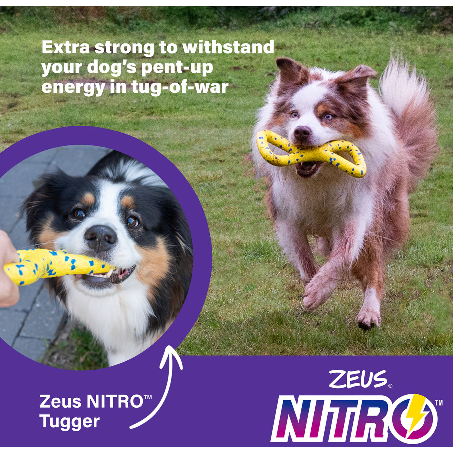 Zeus Nitro Tugger Dog Toy Yellow Image 5