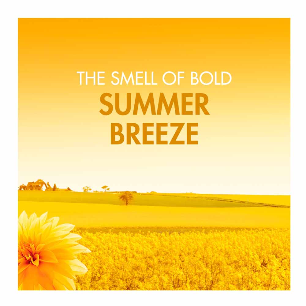 Bold All-in-1 Pods Summer Breeze 25 Wash Image 3