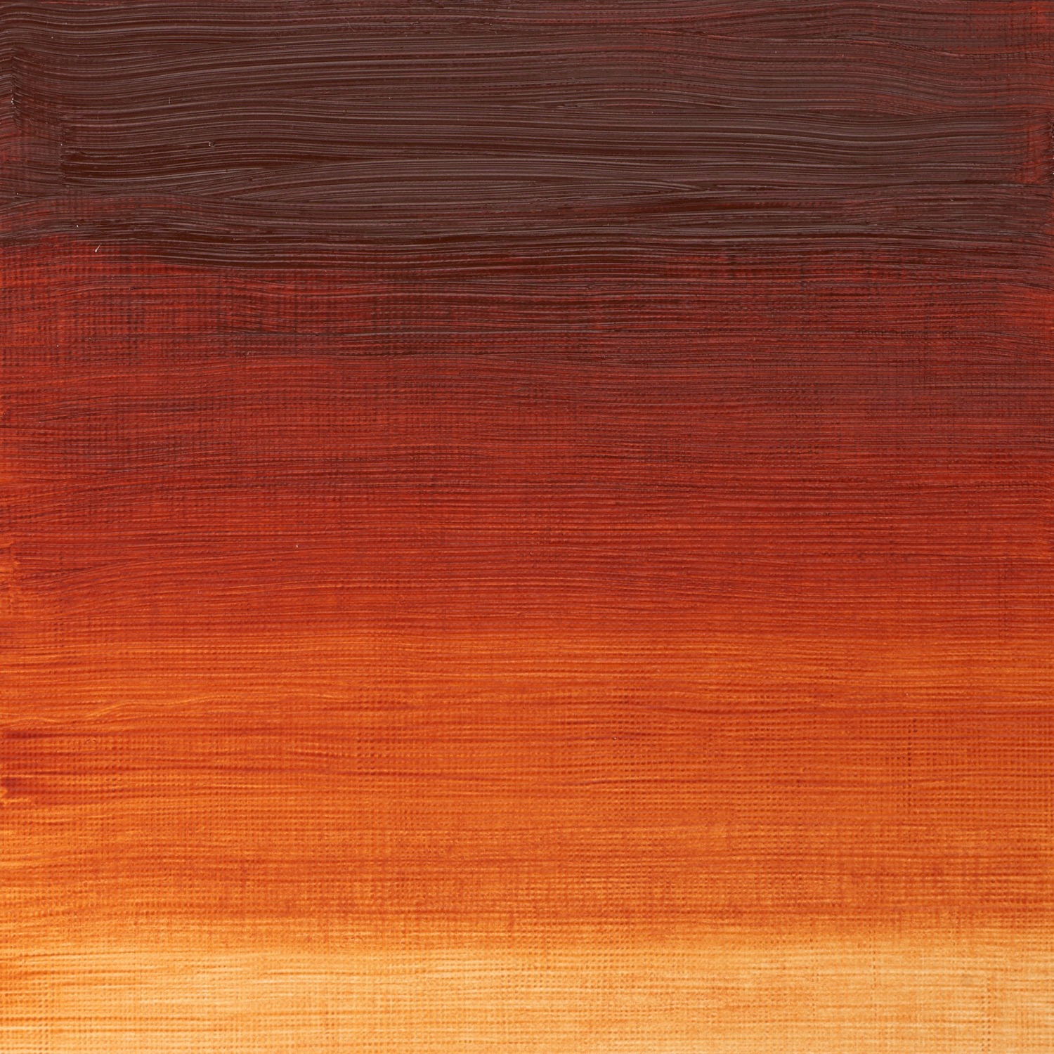 Winsor and Newton 37ml Winton Oil Colours - Burnt sienna Image 2