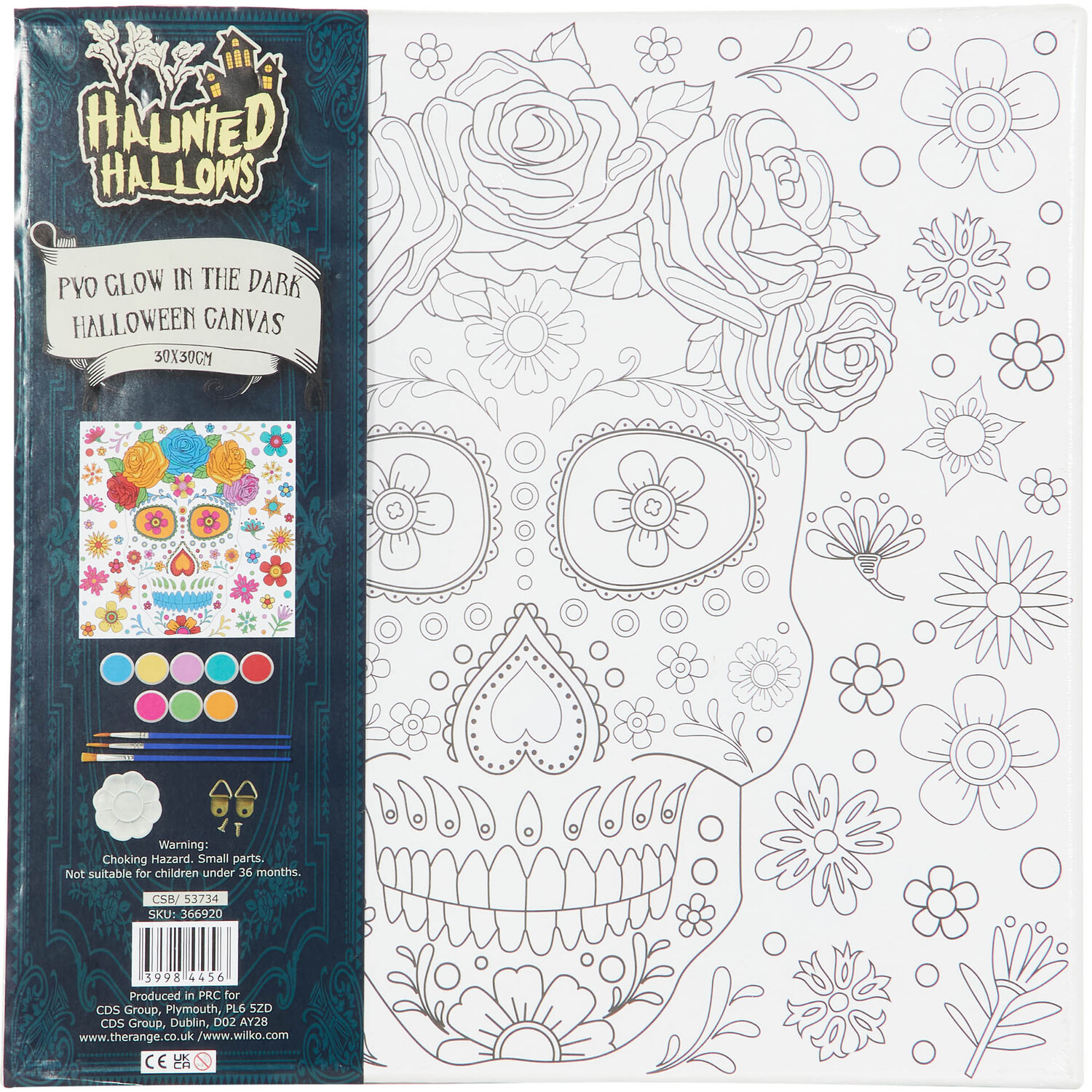 Paint Your Own Glow In the Dark Halloween Canvas Image 1