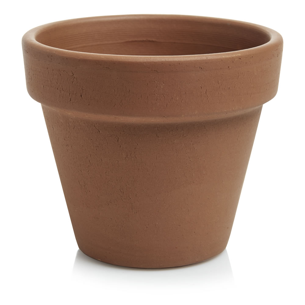 Wilko Terracotta Plant Pot 11cm Image