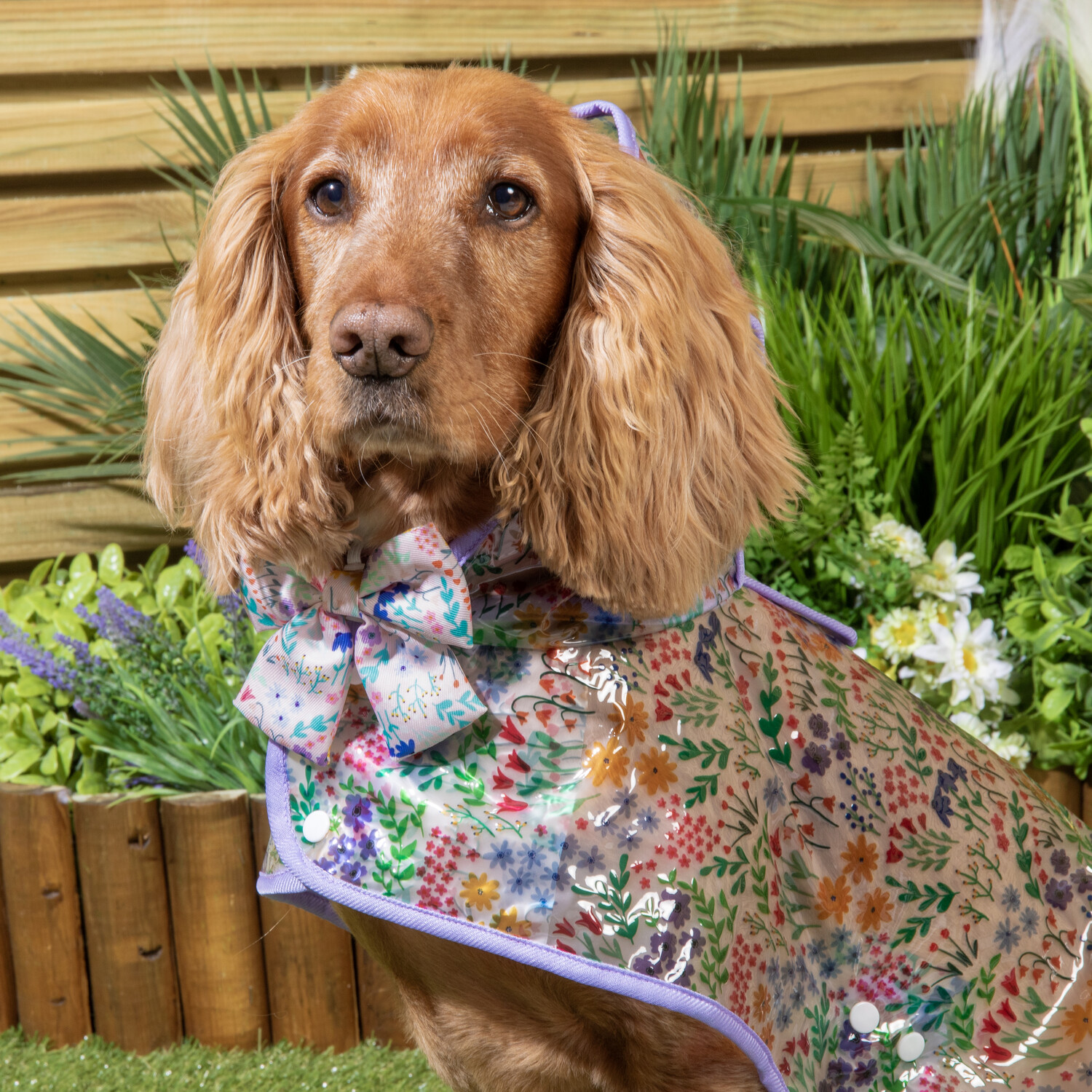 Wildflower Dog Raincoat Neutral 25cm Image 2