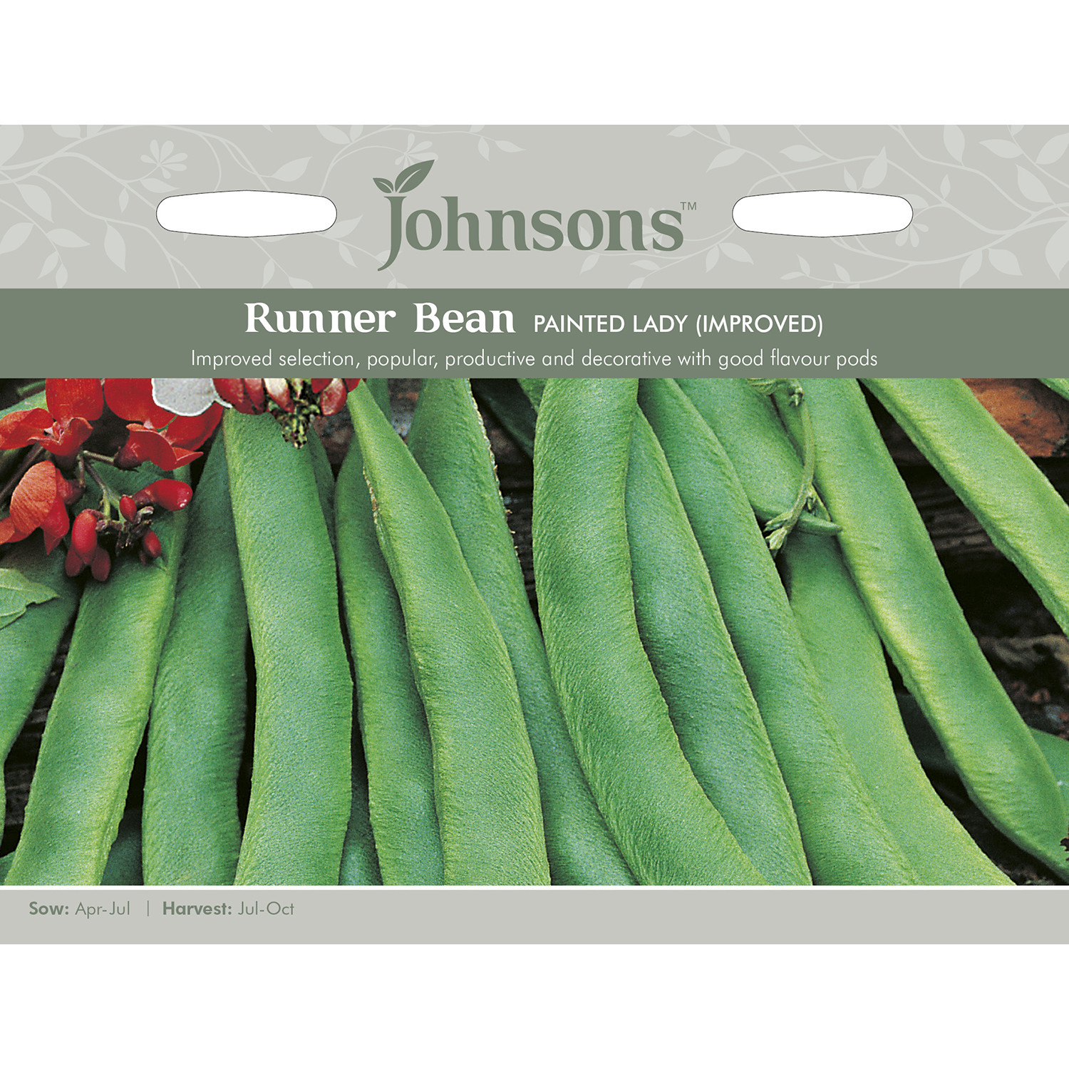 Johnsons Painted Lady Runner Bean Seeds Image 2