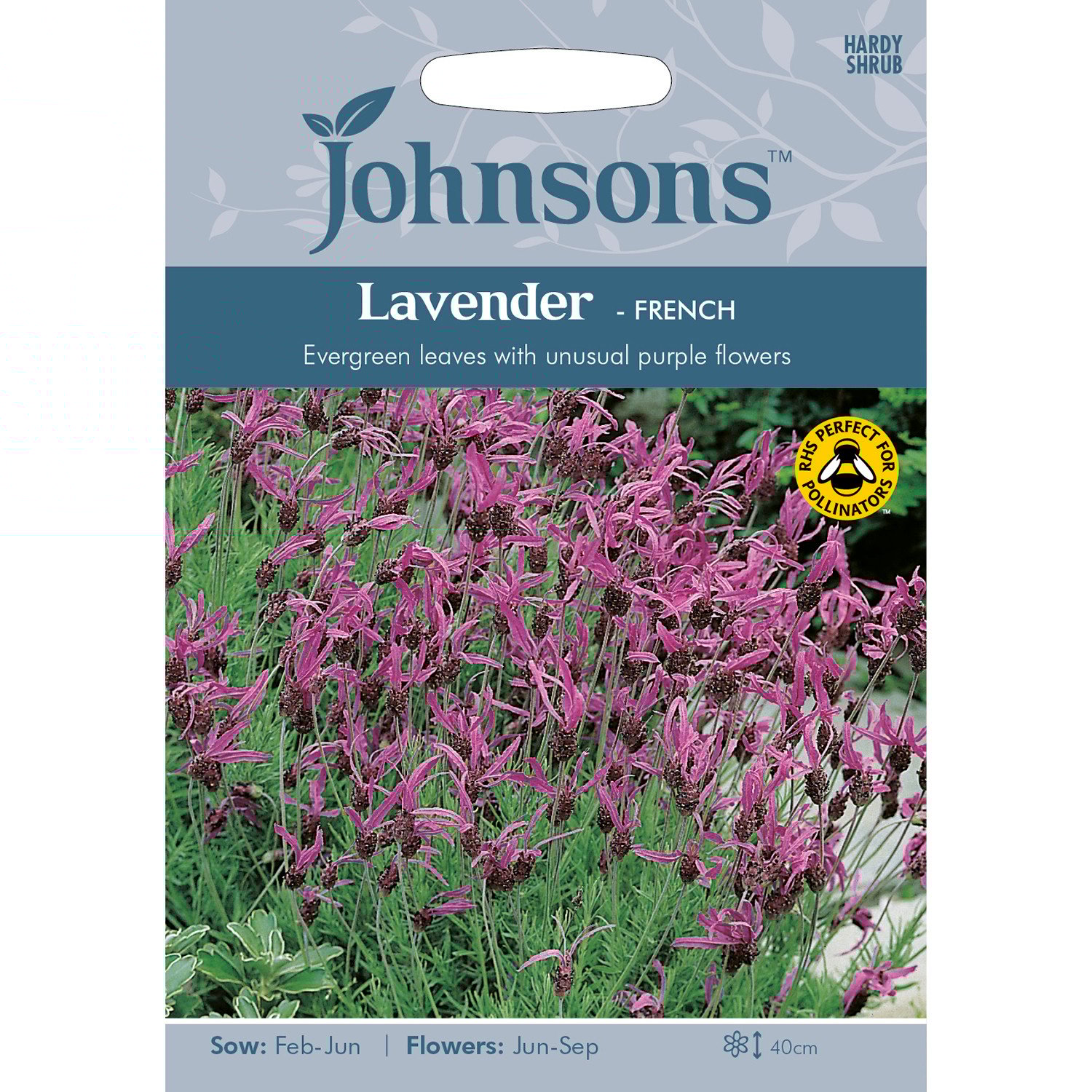 Johnsons Lavender French Flowers Image 1