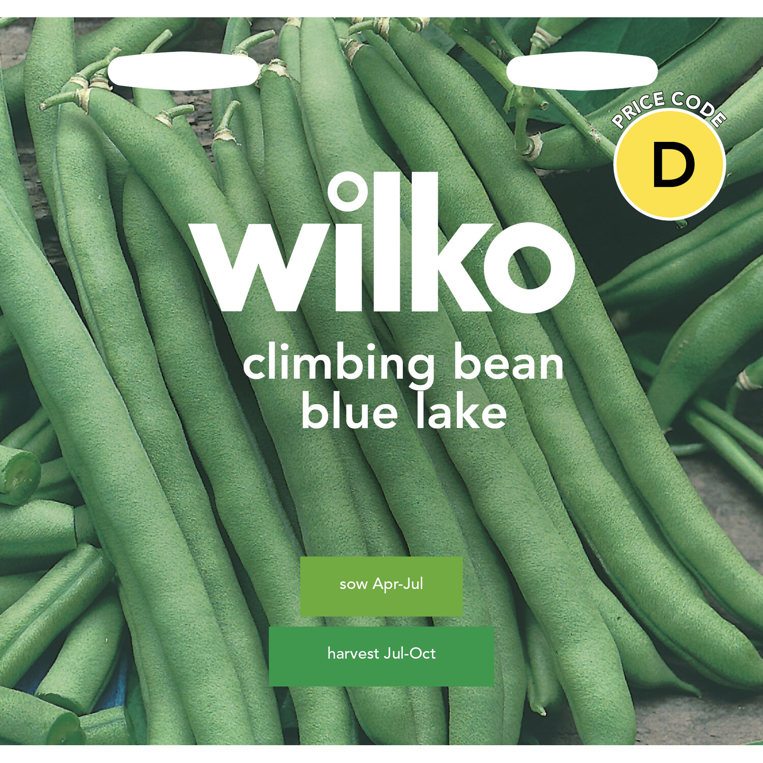 Climbing Bean Blue Lake Seeds Green Image 1