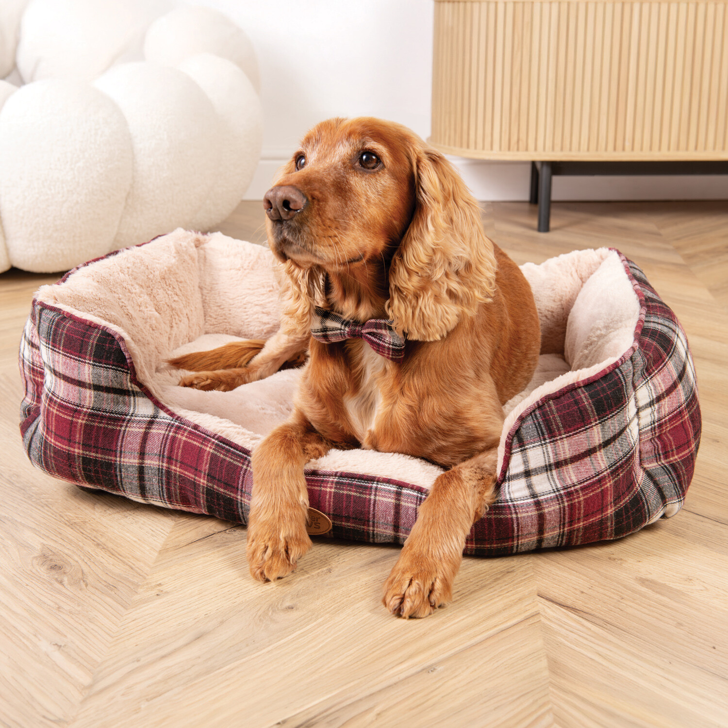 The Country Collection Dog Cap and Bow Maroon Image 6