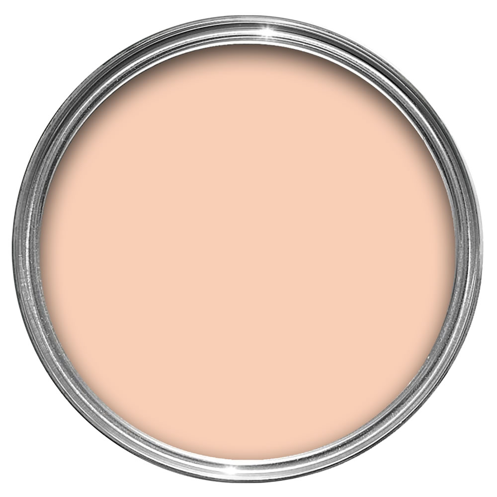 Wilko Peach Blush Emulsion Paint Tester Pot 75ml Image 2