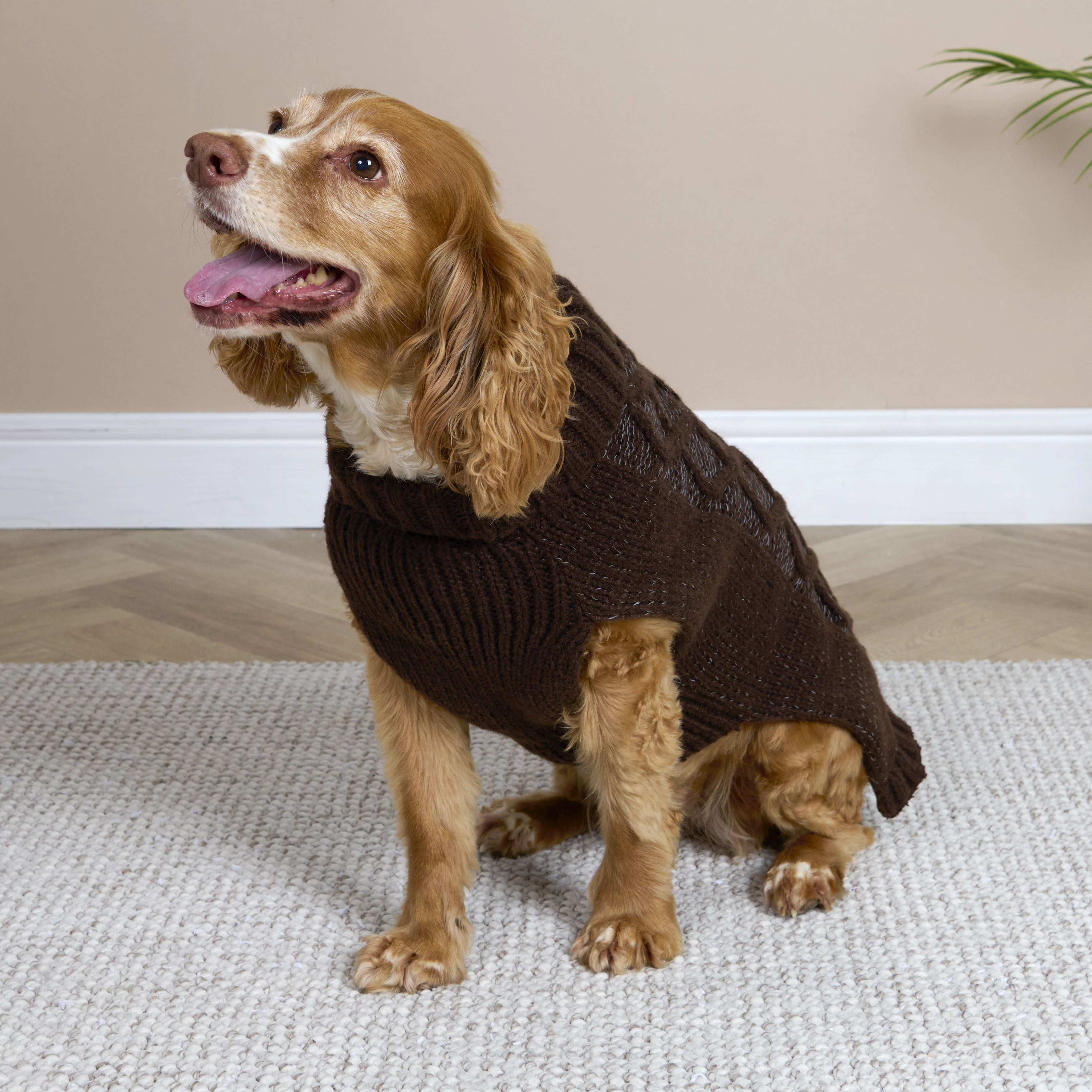 Reflective Roll Neck Pet Jumper M Image 6