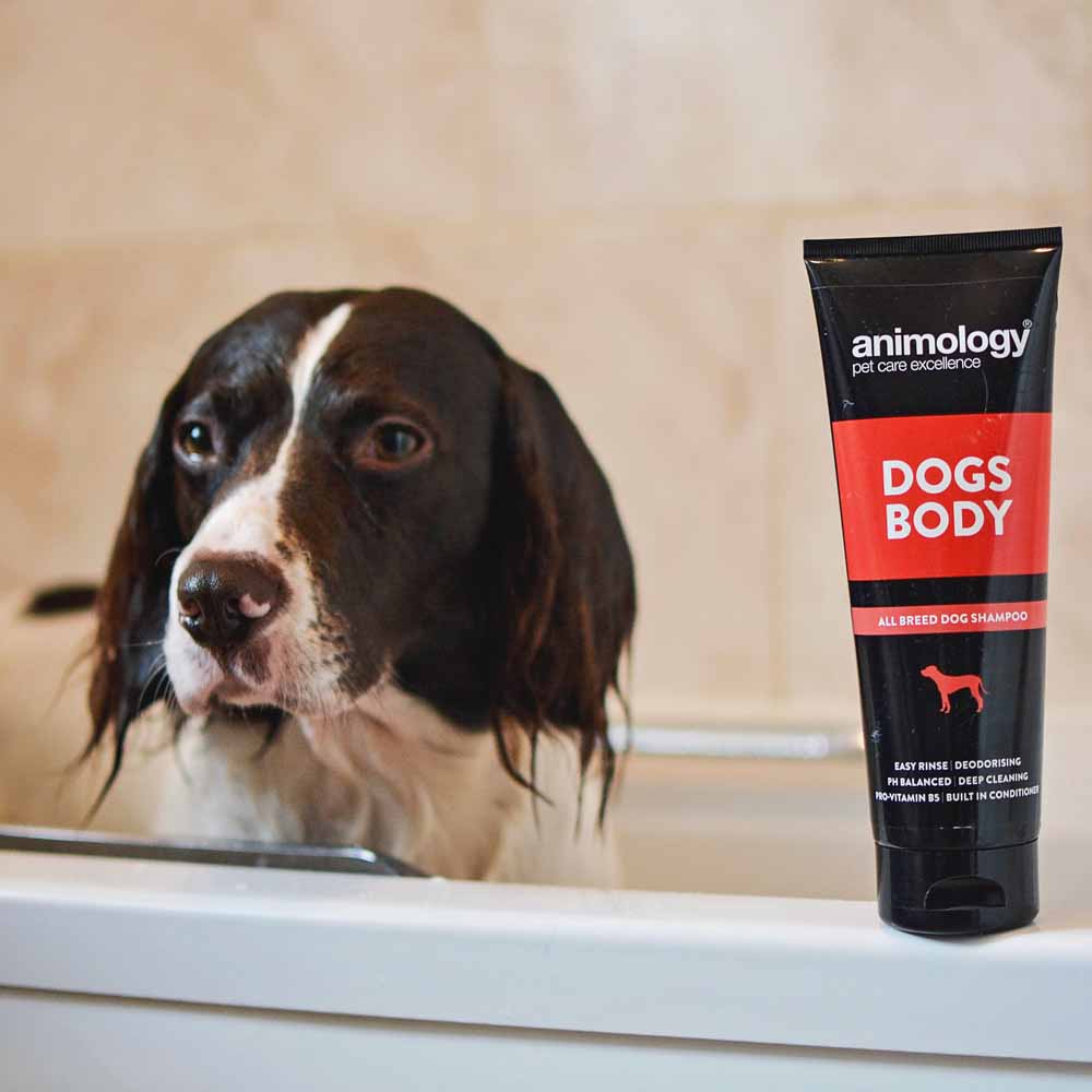 Animology Dogs Body All Breed Dog Shampoo 250ml Image 2