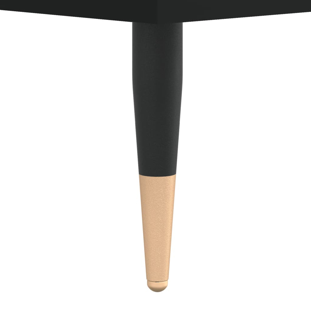 vidaXL Black Record Cabinet Image 7