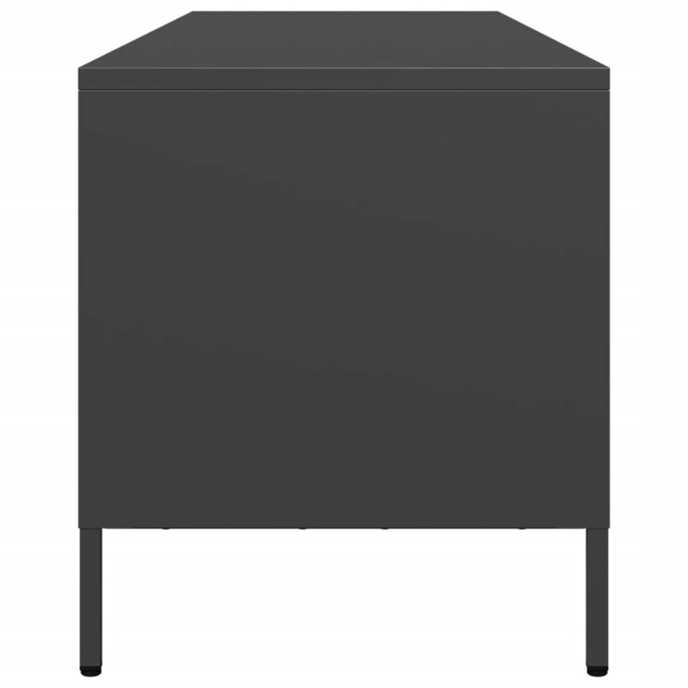 vidaXL 2 Drawer 2 Shelf Black Steel Industrial Style TV Cabinet Image 6