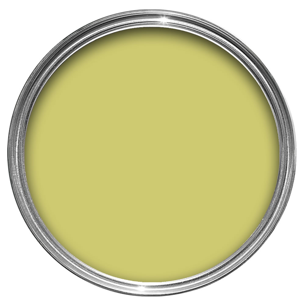 Wilko Limeade Emulsion Paint Tester Pot 75ml Image 2