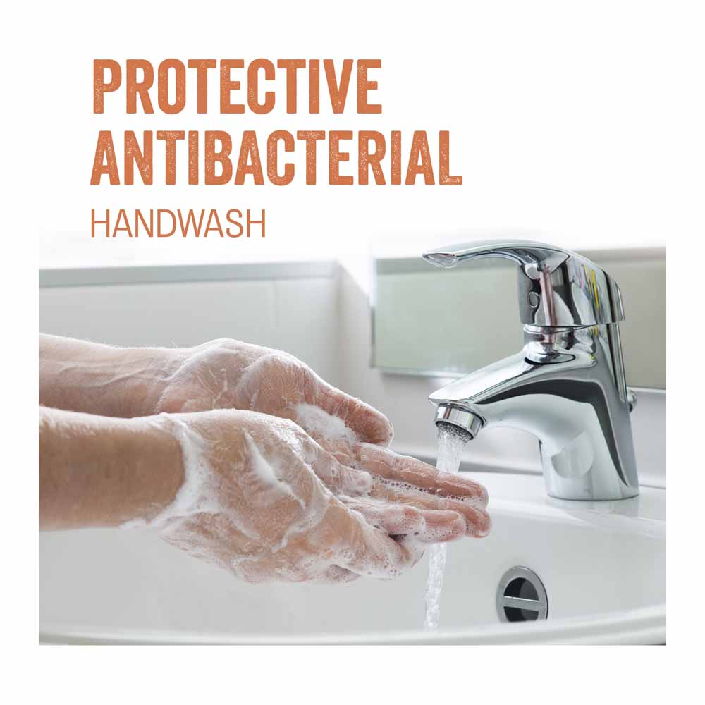 Radox Antibacterial and Nourish Hand Wash 250ml Image 5