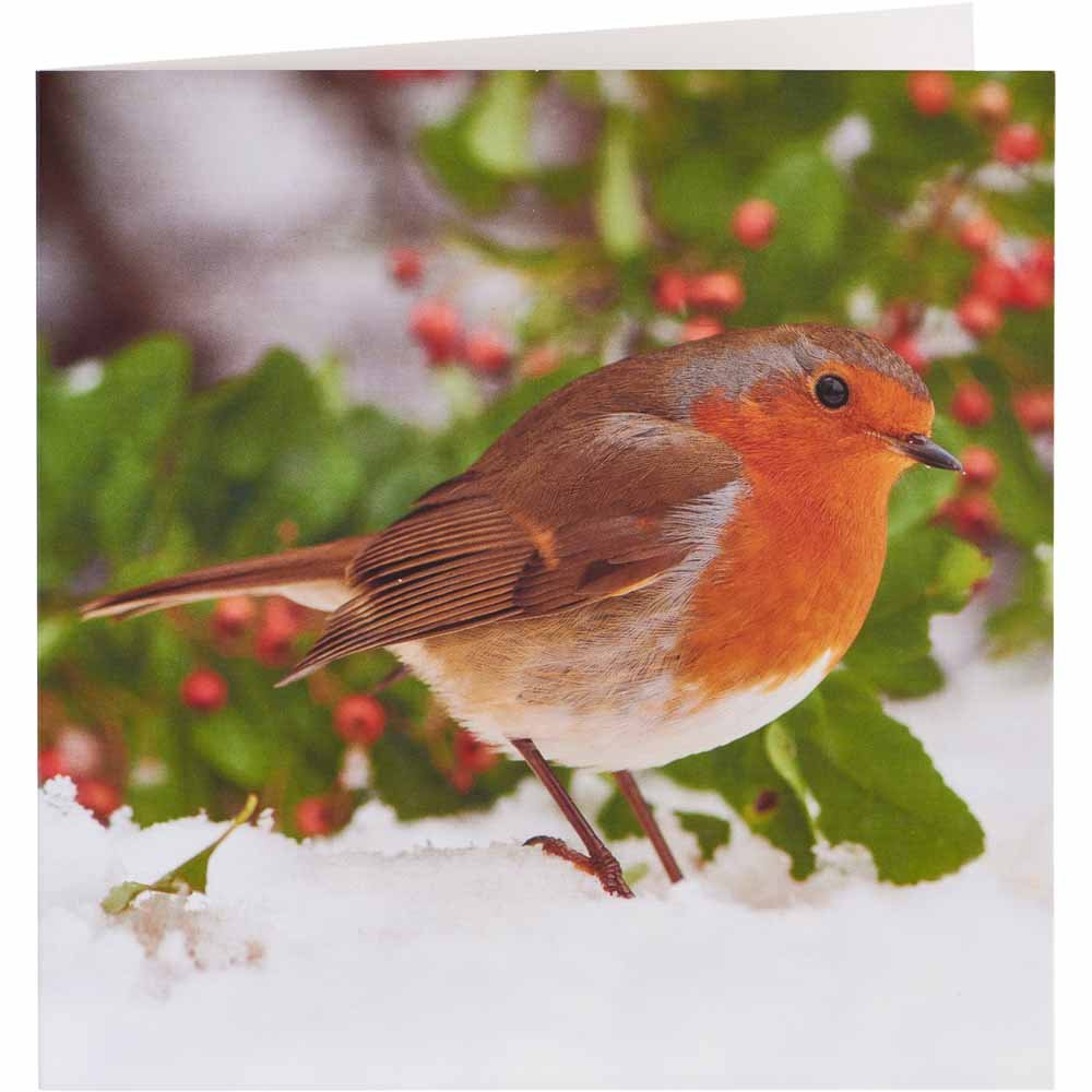 Wilko Robin Christmas Cards 15 Pack Image 2