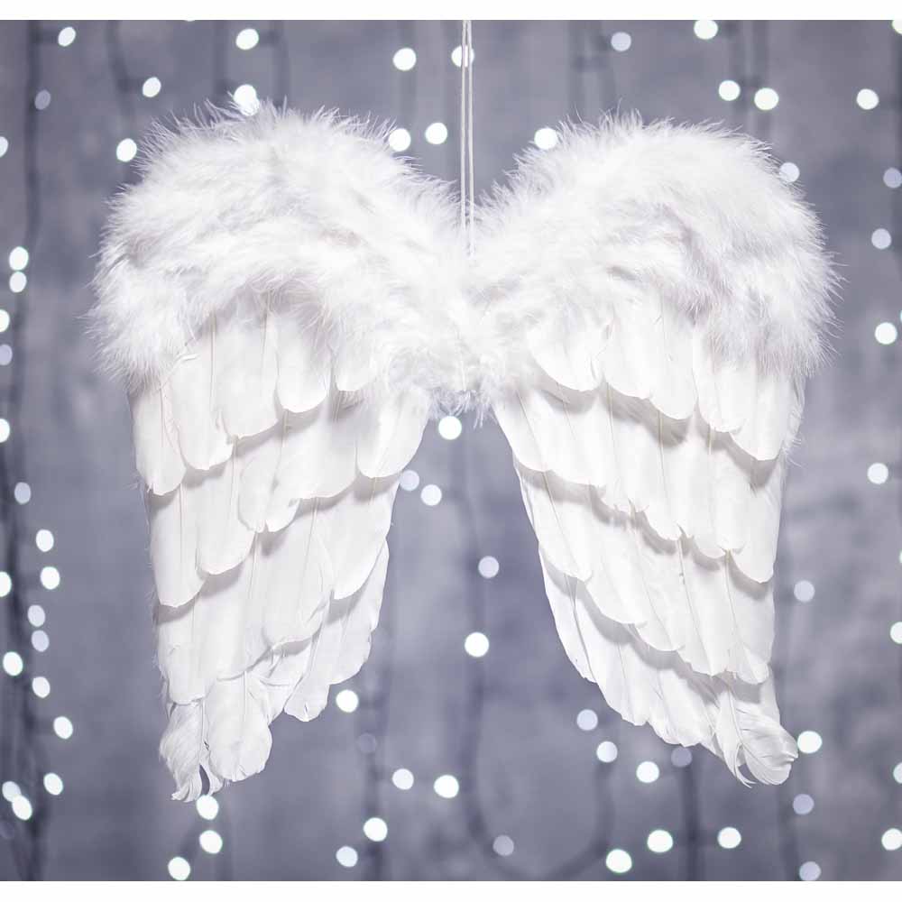 Wilko Magical Angel Wings Decoration Image 3