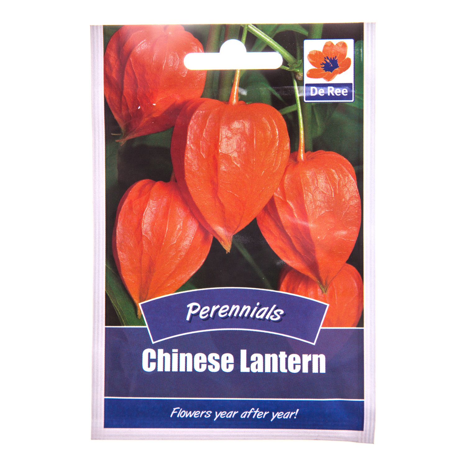 Perennial - Chinese Lantern Seeds Image