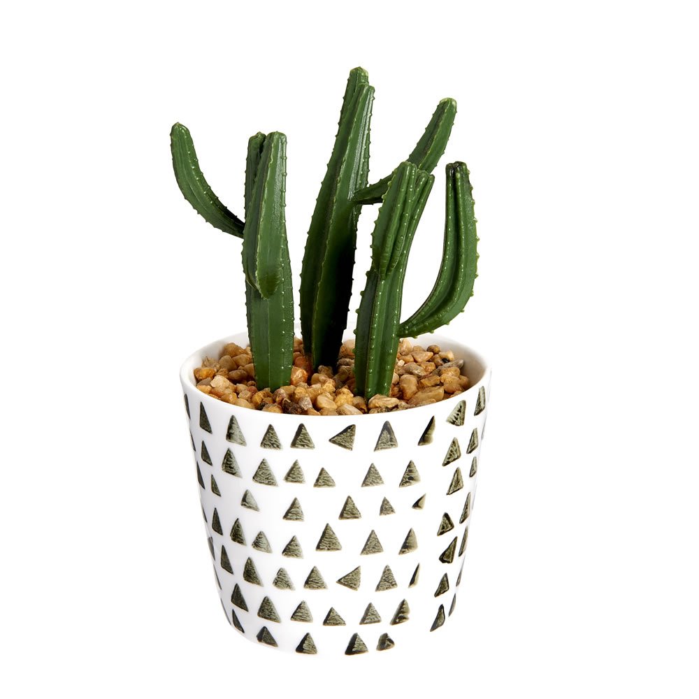 Single Wilko Cactus in Ceramic Pot in Assorted styles Image 3