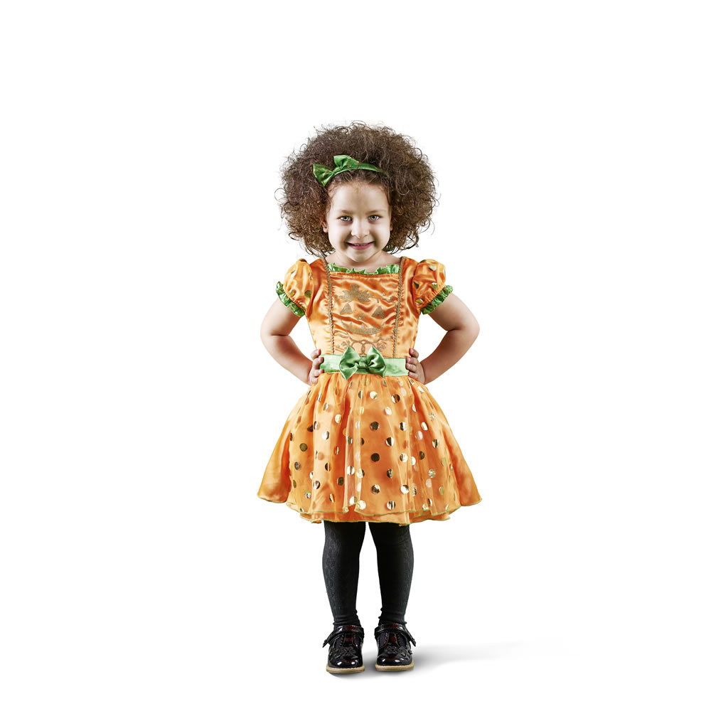 Wilko Toddler Pumpkin Dress Age 2-3yrs Image 1