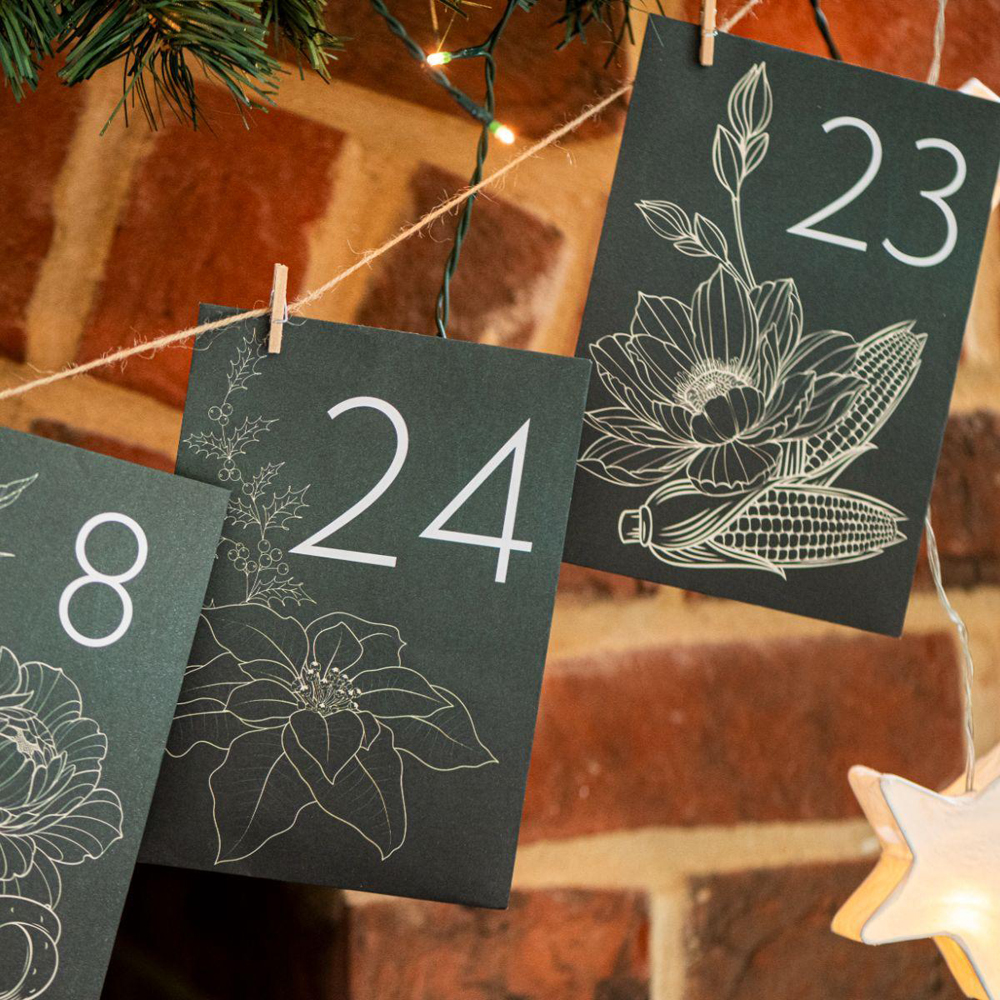 Thompson and Morgan Christmas Gift Flowers Seed Christmas Gift Advent Calendar Kit Image 6