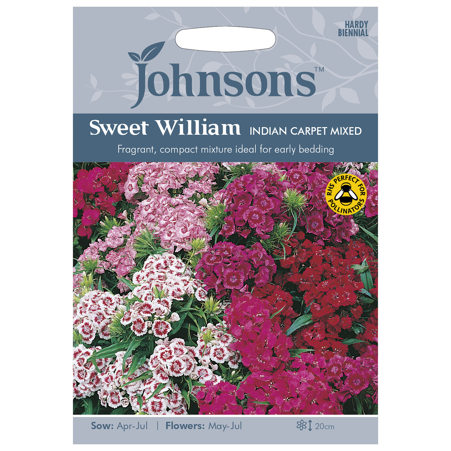 Pack of Indian Carpet Mixed Sweet William Flower Seeds Image
